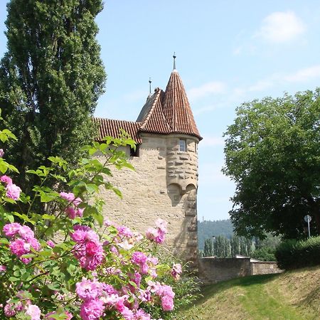 Weingut Gaestehaus Weigand Ипхофен Екстериор снимка