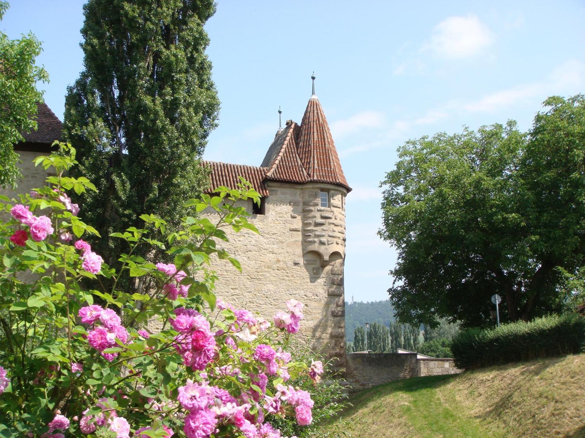 Weingut Gaestehaus Weigand Ипхофен Екстериор снимка