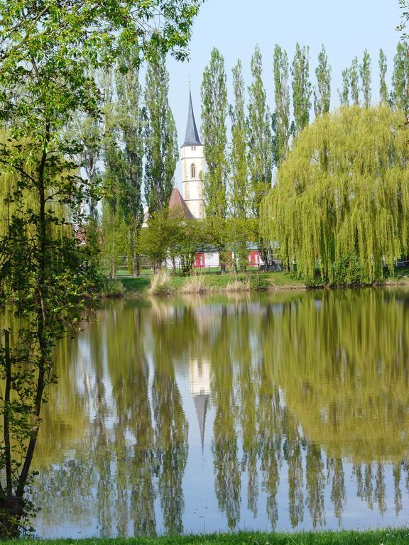 Weingut Gaestehaus Weigand Ипхофен Екстериор снимка