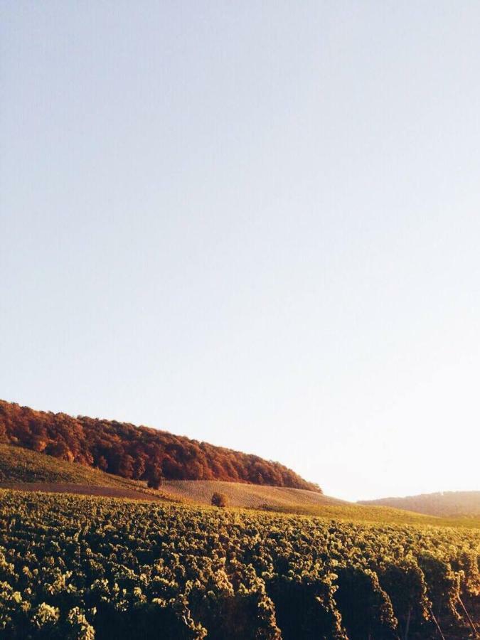 Weingut Gaestehaus Weigand Ипхофен Екстериор снимка
