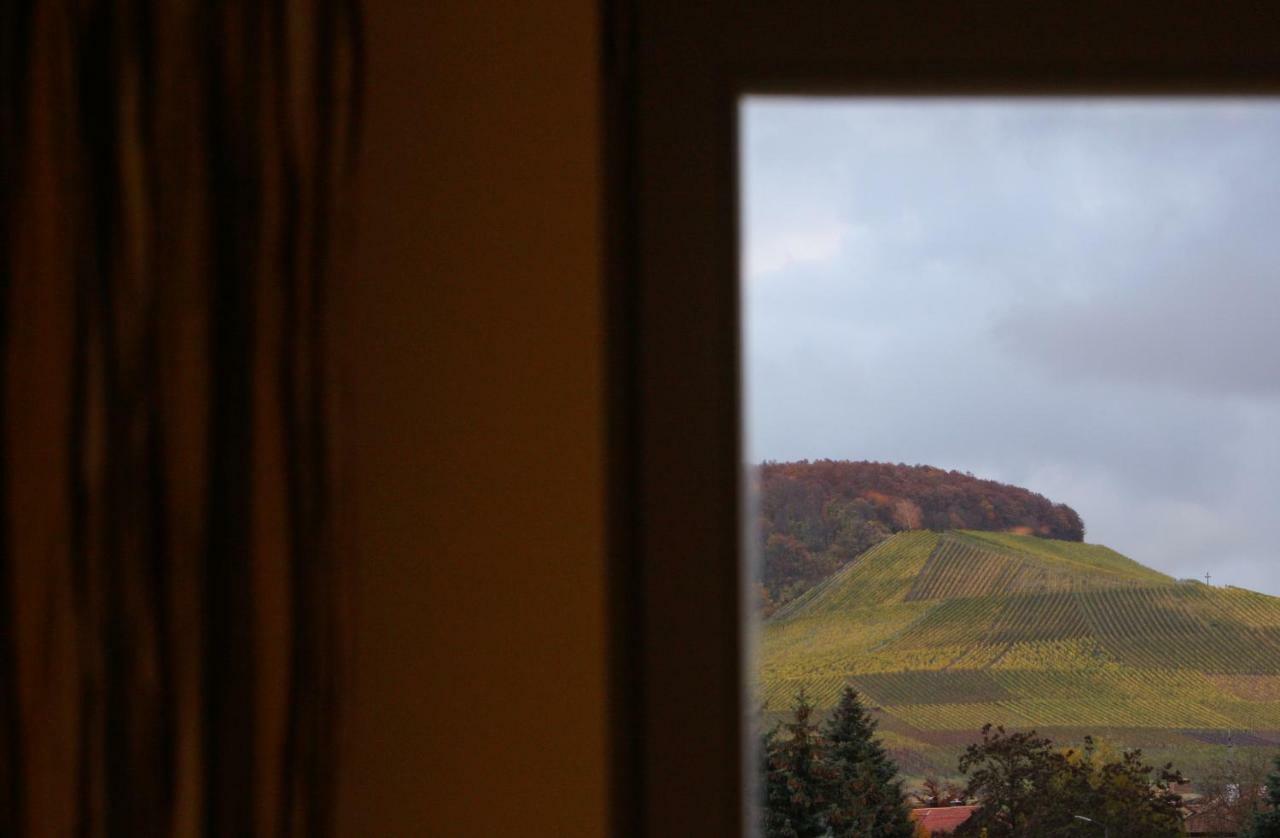 Weingut Gaestehaus Weigand Ипхофен Екстериор снимка